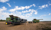 Joel Salatin: Stop the Soybean Bailouts