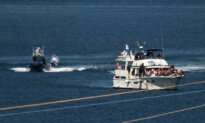 Two Canadians Detained in Israel Over Flotilla to Gaza: Global Affairs Canada