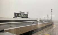 Airport Warns About Catfishing as People Arrive to Meet Loved Ones Who Don’t Exist