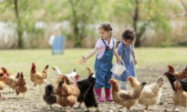 What Farming Taught Me