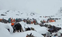 All Stranded Everest Hikers Evacuated From Remote Tibetan Valley