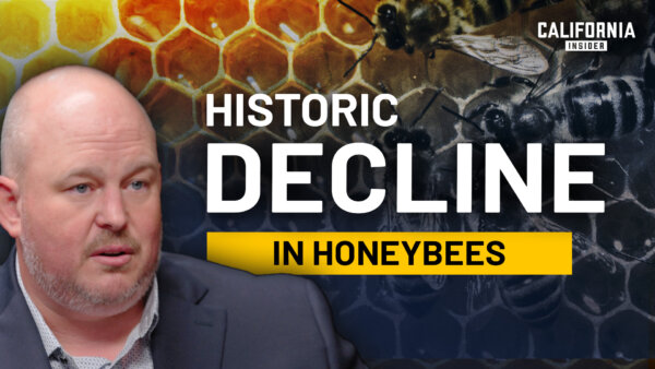 Catastrophic Bee Decline Is Impacting California’s Economy | Ryan Burris