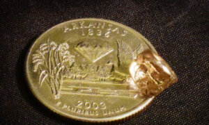 Man Finds 2.71-Carat White Diamond While Digging in Extinct Volcanic Crater in Arkansas
