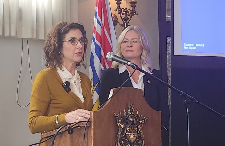 OneBC Party in Turmoil as Party Executives Say Leader Brodie Ousted, She Denies