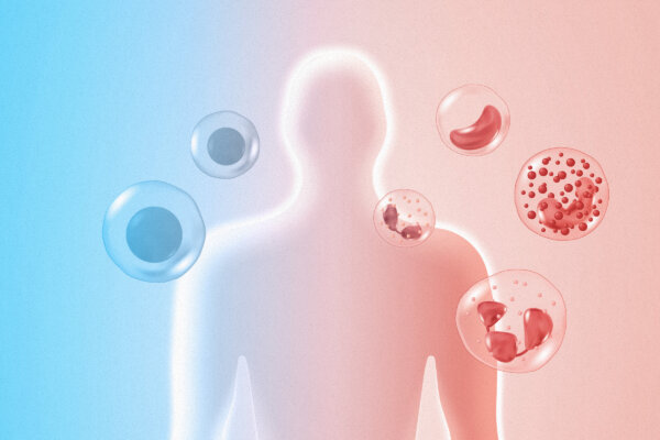 How This Nobel Discovery Could Transform Autoimmune and Cancer Treatment