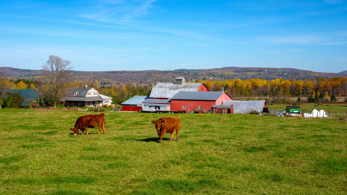A farm in Quebec in a file photo. China is targeting farmland in Canada through proxy organizations, say former law enforcement and intelligence officials. (Gilles Rivest/Shutterstock)