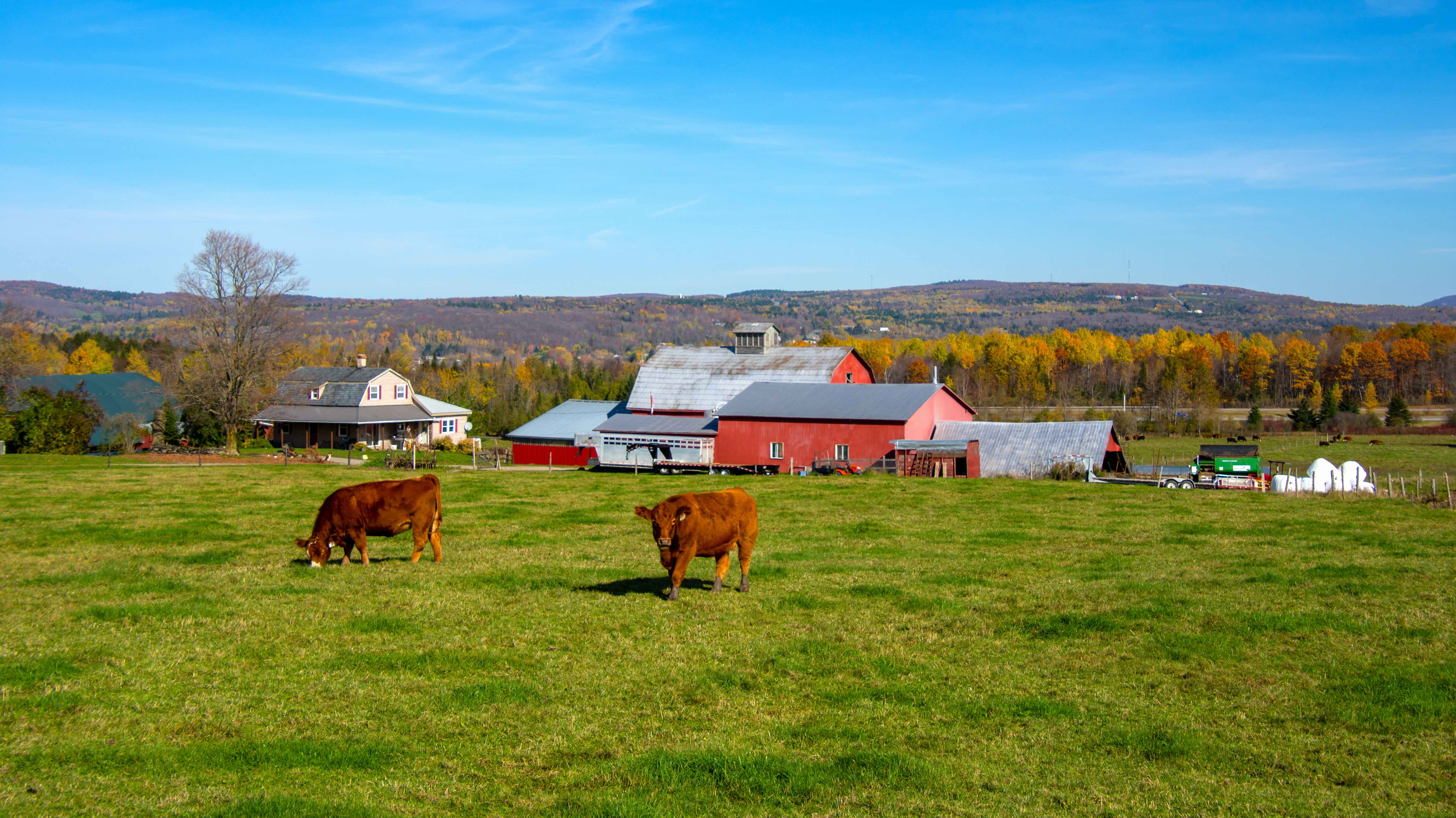 As China Buys Up Farmland Abroad, How Is Canada Responding?