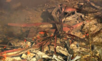 Multiple People Dead After Explosion at Tennessee Munitions Plant: Sheriff