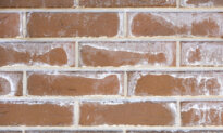 Cure Brick Efflorescence