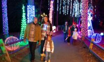 Holiday Dazzle: Resorts Delight With Christmas Lights and Entertainment