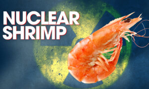 Report Uncovers Source of Radioactive Isotope-Tainted Shrimp at Walmart, and It’s Not What You Think | Facts Matter