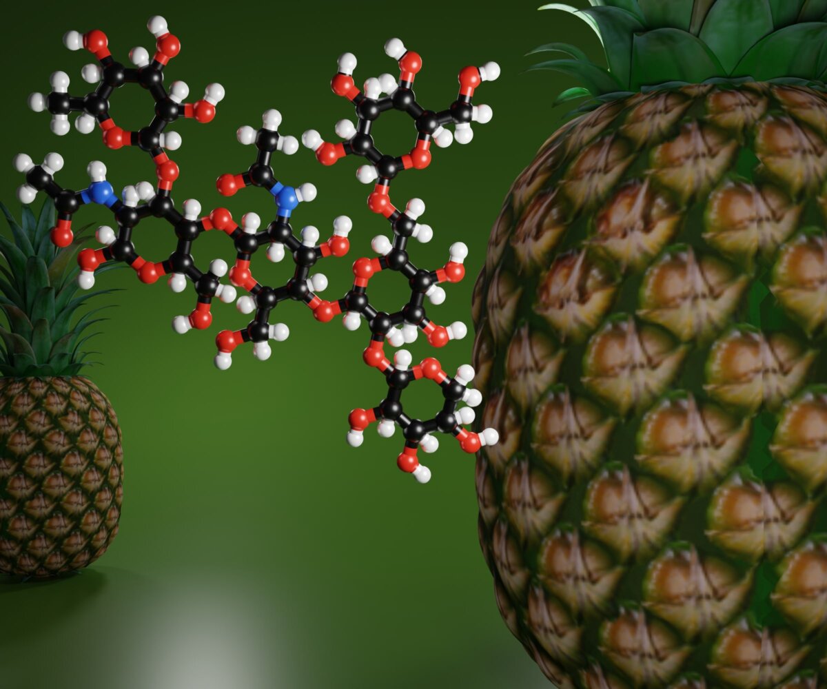 Image depicting proteolytic enzymes derived from Pineapple