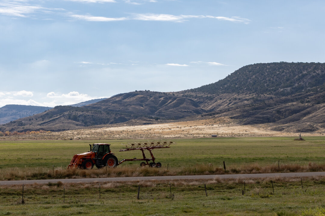 Here’s What Farmers Can Expect to Receive in Payments From Trump’s Aid Package