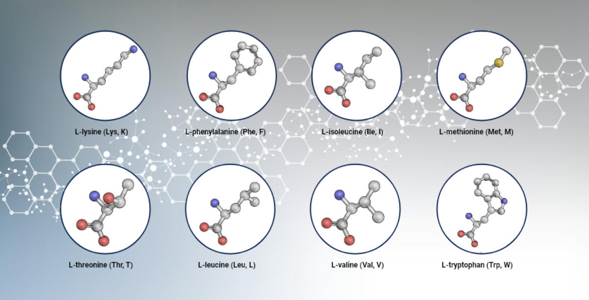 8 Essential Amino Acids