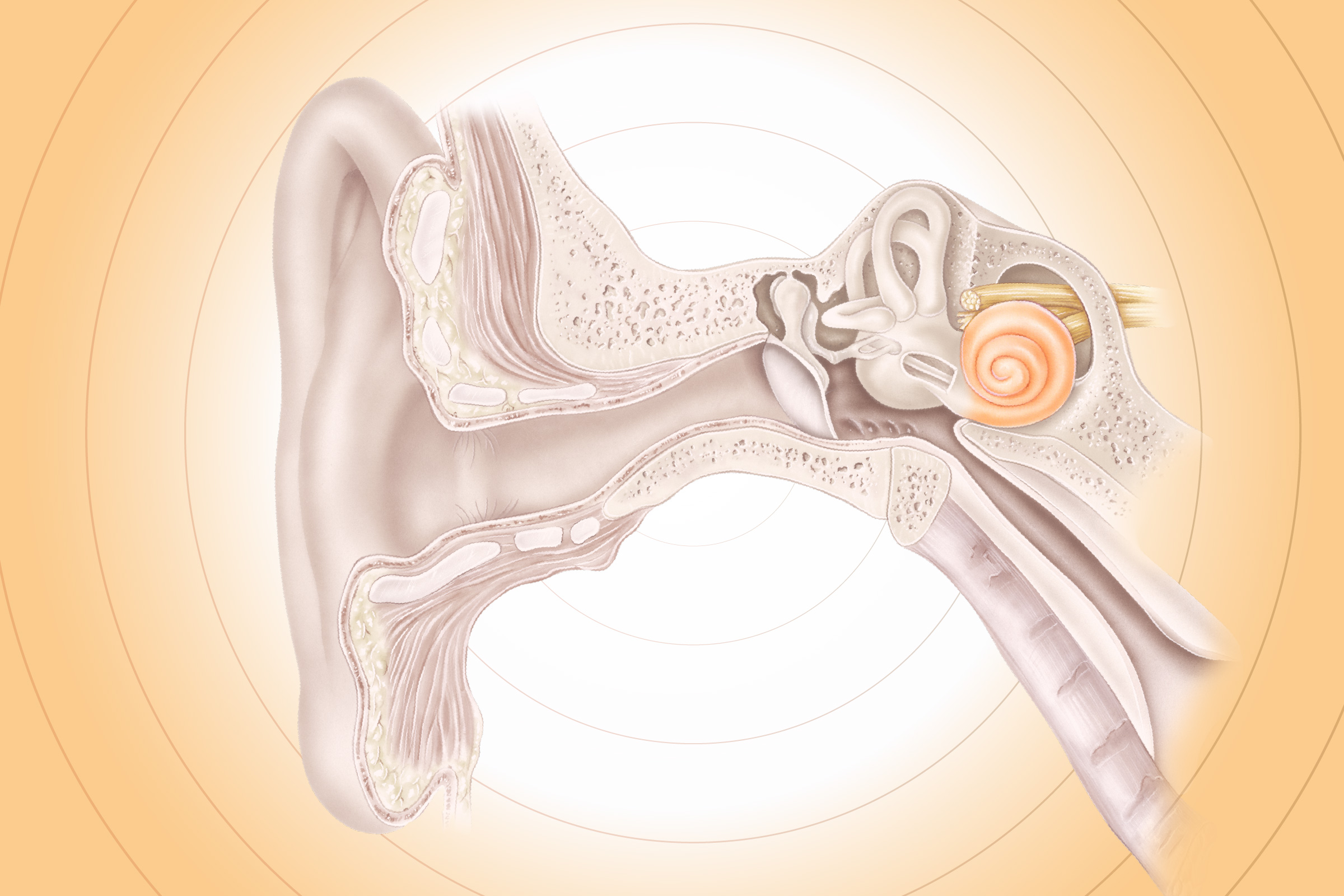 Tinnitus: Ringing or Buzzing Sounds Without an External Source–Here Are the Causes