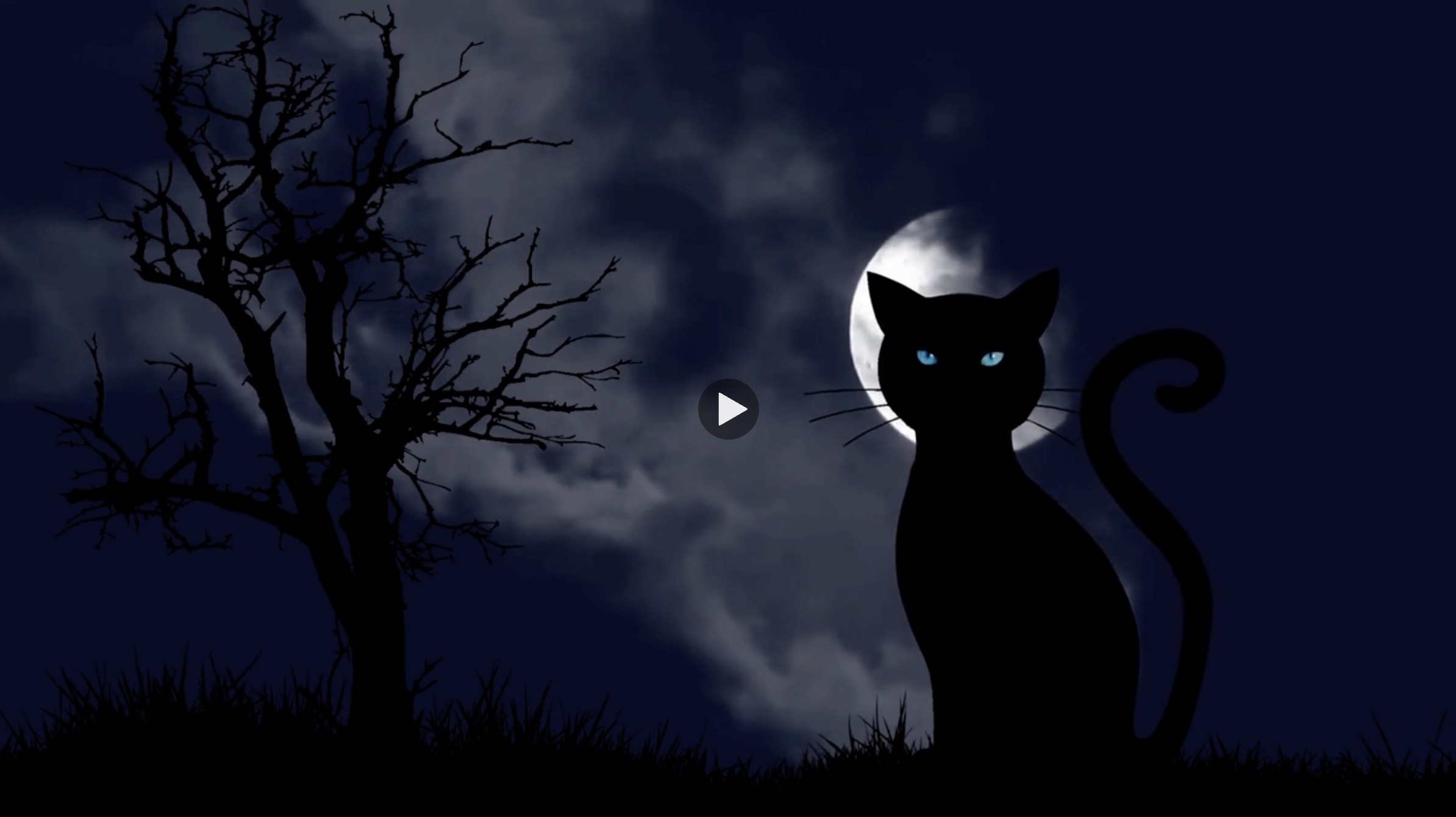 Cats and Witches: The Story Behind the Myths