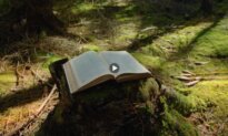 7 Powerful Strategies From the Great Philosophers for a Better Life