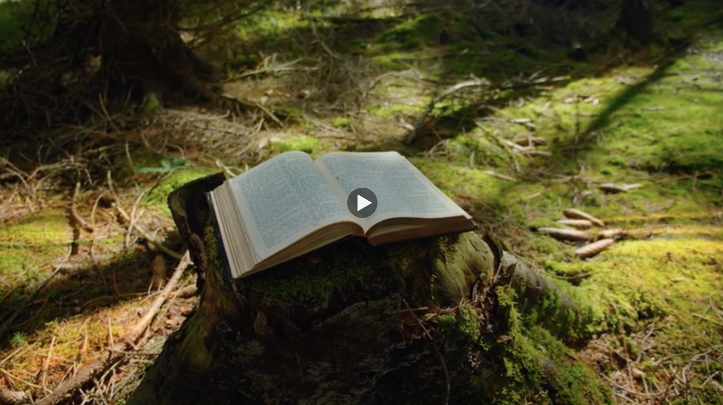 7 Powerful Strategies From the Great Philosophers for a Better Life