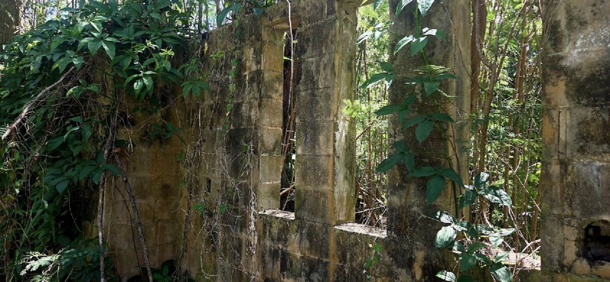 Epoch Times Photo