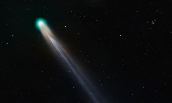 PHOTOS: Green Comet With Blue Tail Travels by Earth to Form Spectacular Trio of Comets Near Sun