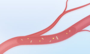 If You’re Always Tired, Your Blood–and Diet–Might Be to Blame