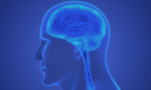 Gum Disease Linked to Nearly Doubled Stroke Risk in Major Study