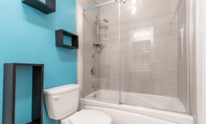 Add a Shower Door on Bath