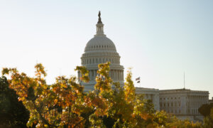 Senate Convenes to Resume Legislative Business