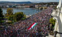 Day in Photos: Peace March in Budapest, Austria-Italy Rail Tunnel, Jacaranda Trees in Australia