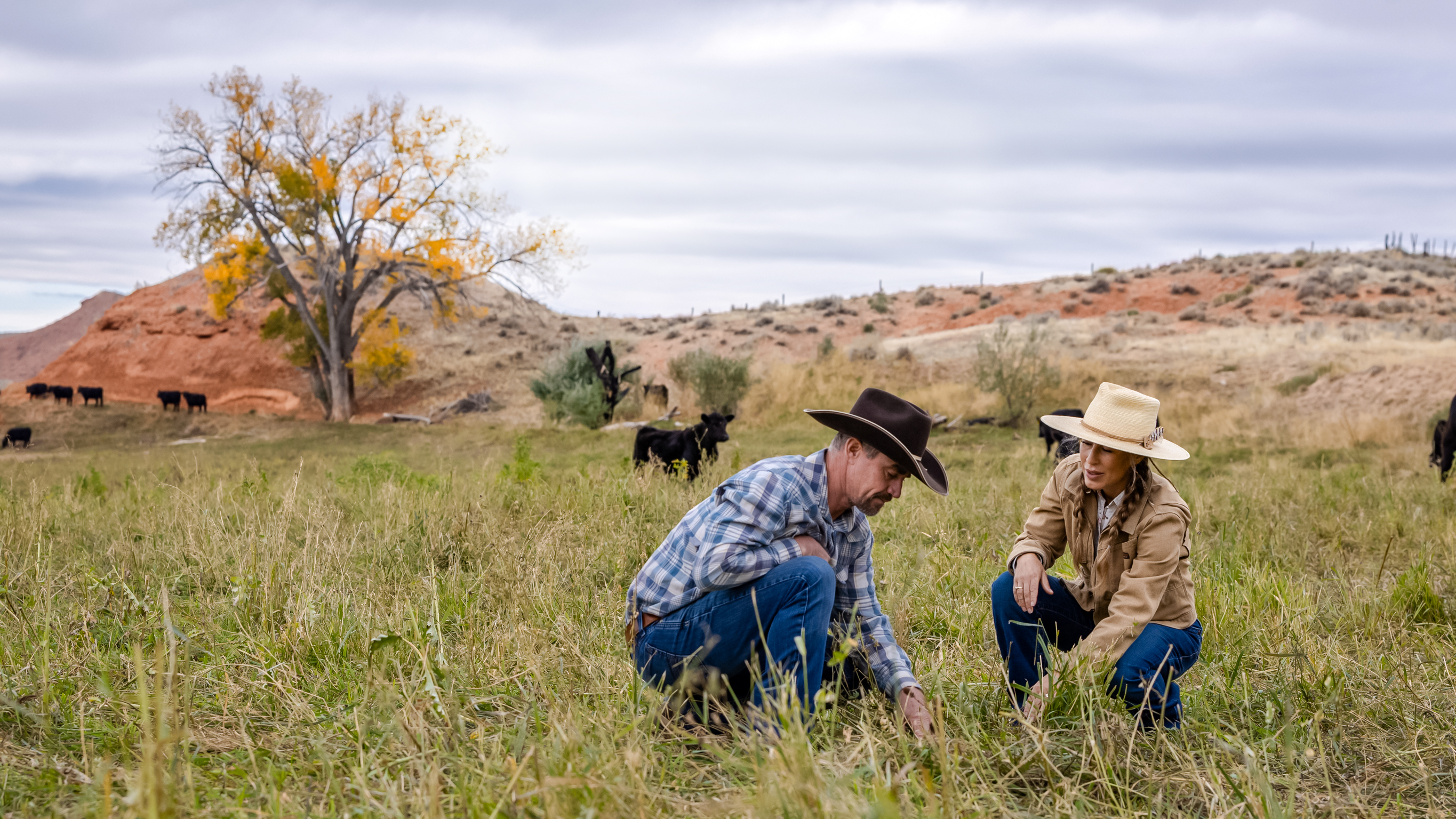 These Wyoming Ranchers Want a Regenerative Revolution