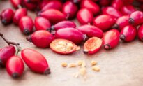 Rose Hips: A Boost of Vitamins C and E—and How to Use Them