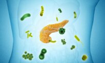 27 Microbes Linked to Pancreatic Cancer, Major Study Finds