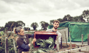 How to Keep Composting Through Winter