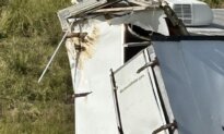 Truck Hauling COVID, Herpes-Infected Monkeys Overturns