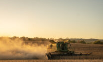 Modern Agriculture Dehydrates America