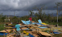 Government Charters Flights to Help Britons Leave Jamaica After Hurricane