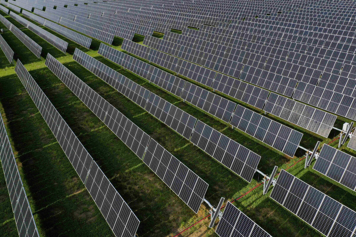 A solar farm in Disputanta, Va., on Aug. 19, 2022. (Drew Angerer/Getty Images)