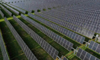 Solar Power Generation to Exceed Coal for First Time in Texas Grids
