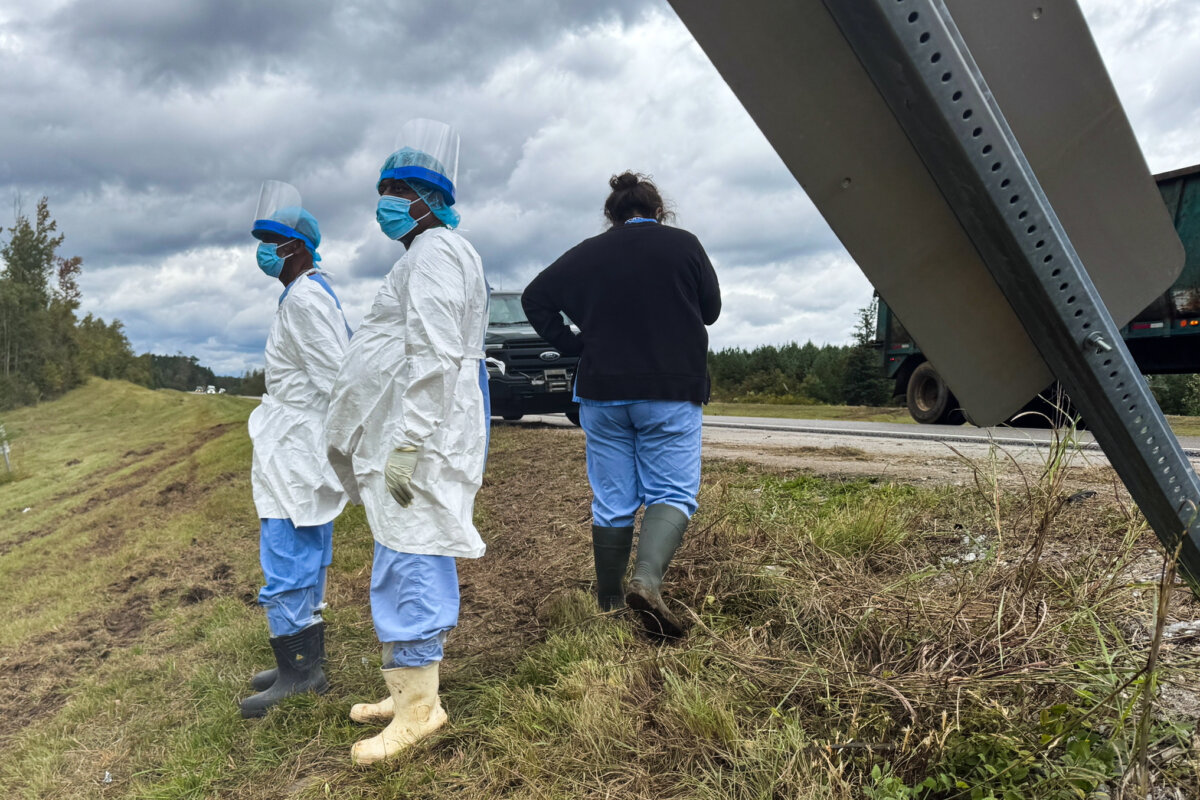 People wearing protective clothing search along a highway in Heidelberg, Miss., near the site of an overturned truck that was carrying research monkeys, on Oct. 29, 2025. (Sophie Bates/AP Photo)