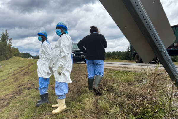 Mississippi Mom Fearing for Kids’ Safety Kills Escaped Lab Monkey