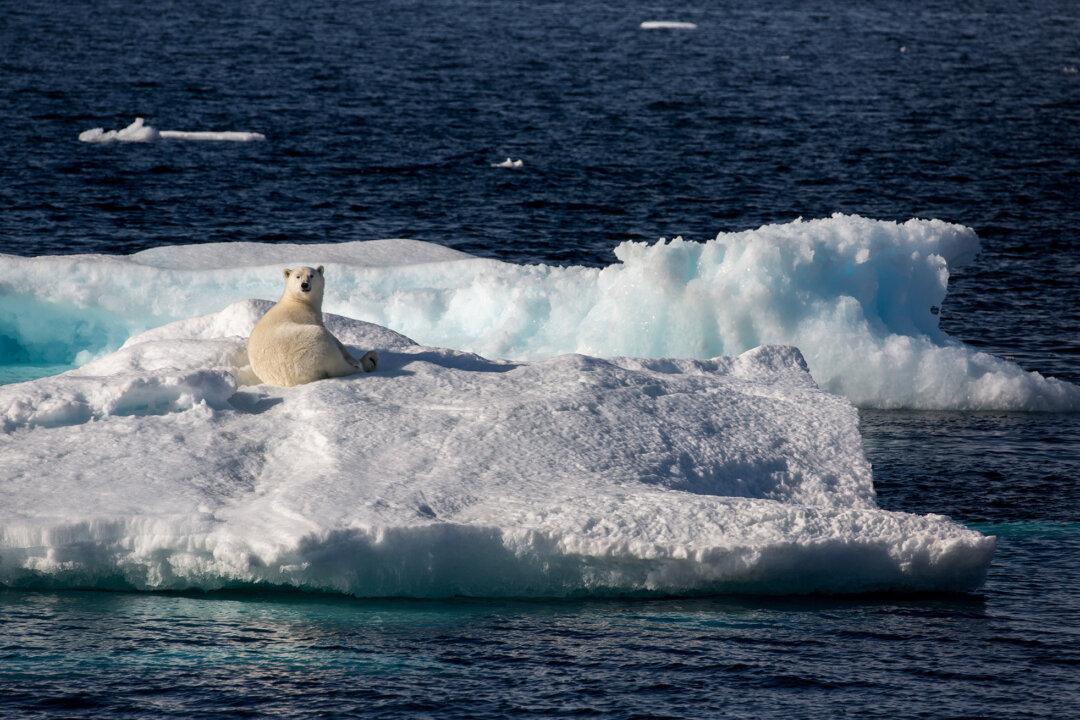 Greenland Should Talk to US Without Denmark, Opposition Leader Says