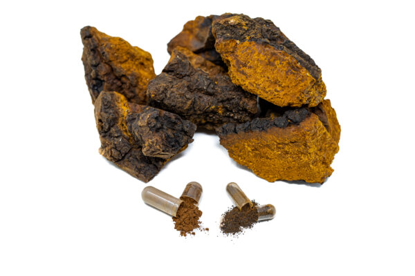 chaga mushroom and capsules.