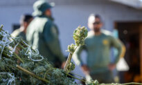 Sheriff’s Deputies Seize 210 Pounds of Illegal Weed in Riverside County