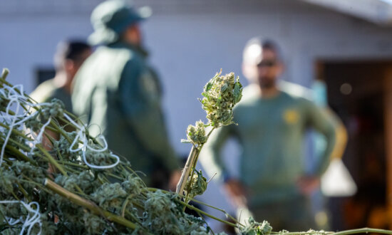 Sheriff’s Deputies Seize 210 Pounds of Illegal Weed in Riverside County