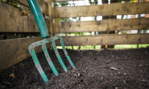 How to Get Better Spring Veggies Through Composting in the Fall