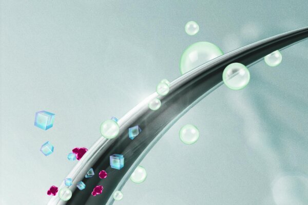 What Your Hair Can Reveal About Your Health