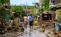 Day in Photos: Typhoon Kalmaegi in the Philippines, 132.66-Carat Green Beryl, and Truffle Hunter