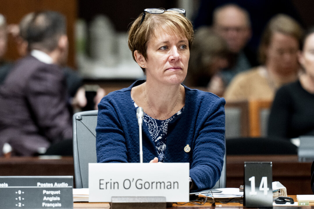 Border Agency Has 500 Officers Looking for 32,000 Illegal Immigrants: President