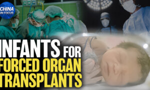 China’s Designated Infants for Organ Transplants