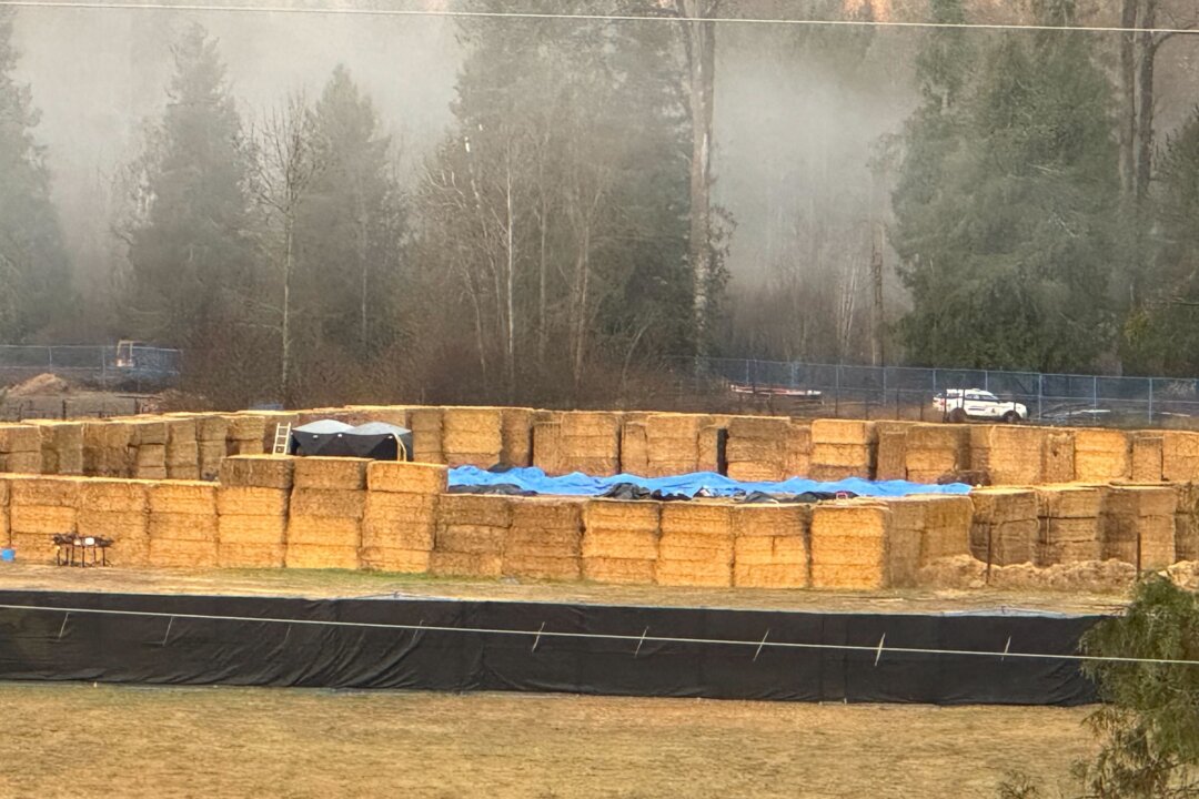 Food Inspection Agency Says ‘Active Operations’ at BC Ostrich Farm Have Ended